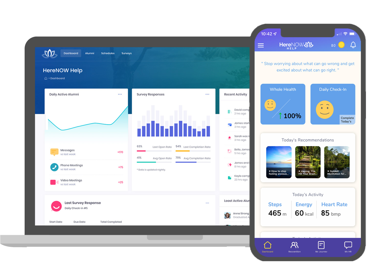 Government Platform - Computer and Mobile Device Display